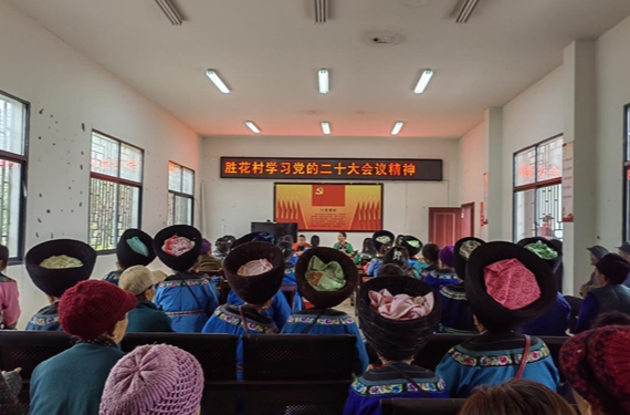 凤凰县胜花村：党建引领展巾帼风采 凝心聚力谱文明乡风