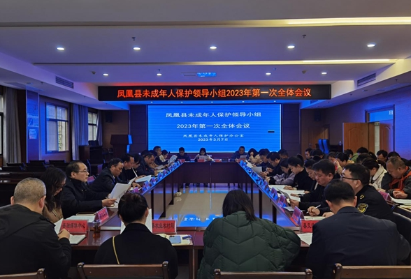凤凰县召开未成年人保护领导小组2023年第一次全体会议