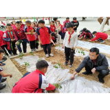 凤凰县齐良桥学区：劳动体验生活  实践助力成长