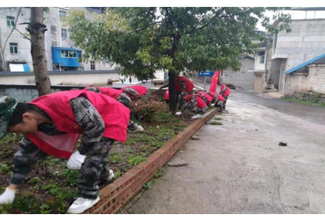 全域文明创建在行动丨凤凰县两林乡：党员干部齐上阵，除草护绿美家园