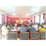 凤凰县新场镇：开展青年谈清廉“以清廉之光 为青春领航”座谈会