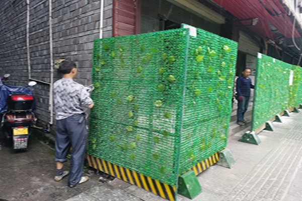 图片17.jpg