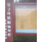 凤凰县筸子坪镇：强化宣传 助力“一卡通”政策落地见效