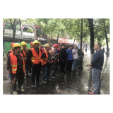 凤凰县沱江镇：联合整治违规钢化棚，为5A创建按“快进键”
