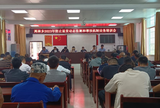 凤凰县两林乡：开展防返贫监测和帮扶业务知识培训