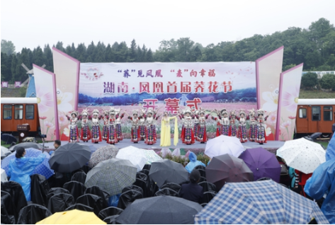 “荞”见凤凰，“麦”向幸福——2023年湖南生态旅游节之凤凰首届荞花节开幕