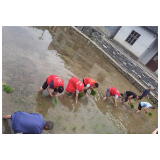 党建领航聚合力 民族团结暖民心 ——凤凰县政府办开展“弘扬五四精神 争当时代先锋”主题党日活动