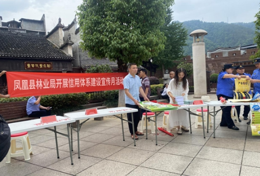 凤凰县林业局：开展优化营商环境社会信用体系建设宣传月活动