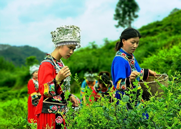 图片8.jpg