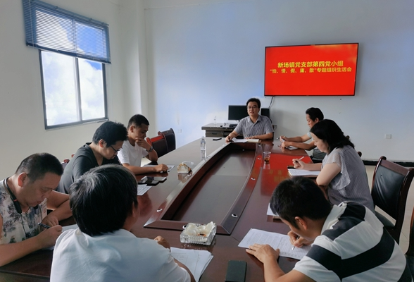 凤凰县新场镇政府机关支部召开干部作风“怕、假、懒、庸、散”专题组织生活会