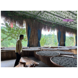 凤凰县水打田乡：党建引领“湘商回归” 合作发展助力乡村振兴
