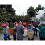 凤凰县麻冲乡：开展湘商回归和返乡创业宣传活动