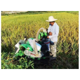 凤凰县沱江镇小黄土村：稻谷飘香喜丰收