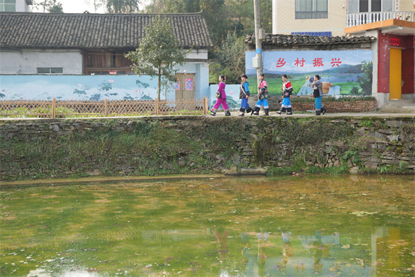 P1583252.jpg