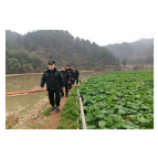 凤凰县市场监督管理局：开展禁捕联合执法专项行动