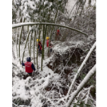 国网凤凰县供电公司：踏雪保电 守护光明