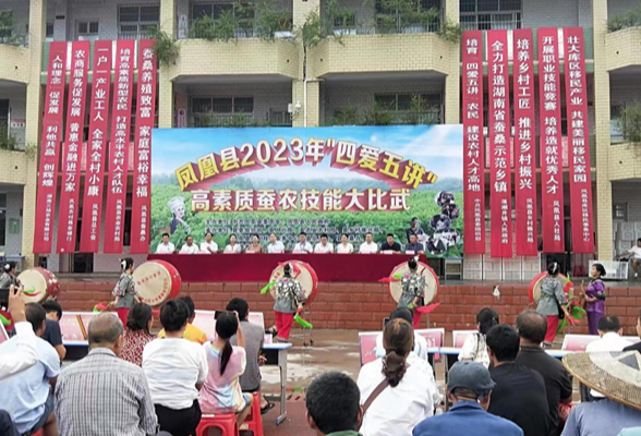 凤凰：多措并举让人才“站C位”