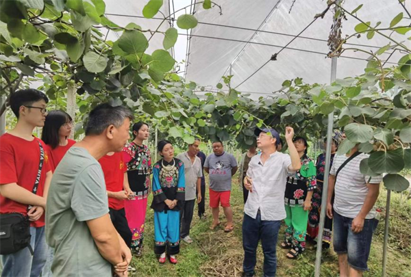 王仁才教授与研究生团队现场给农户讲解猕猴桃剪枝技术.png