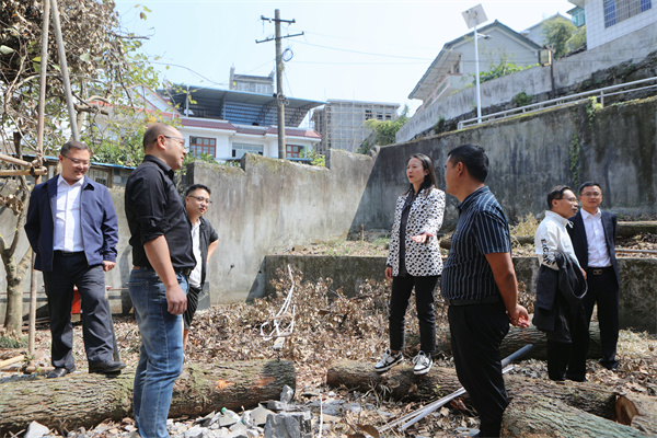 1.在吉信法庭调研.jpg