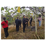 凤凰县农业农村局：加强监督检查 排除农产品质量安全隐患