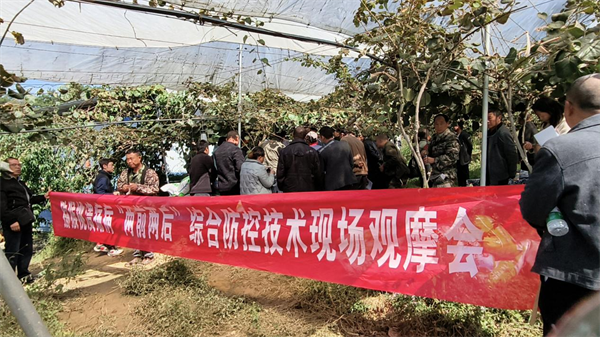 图片11.png