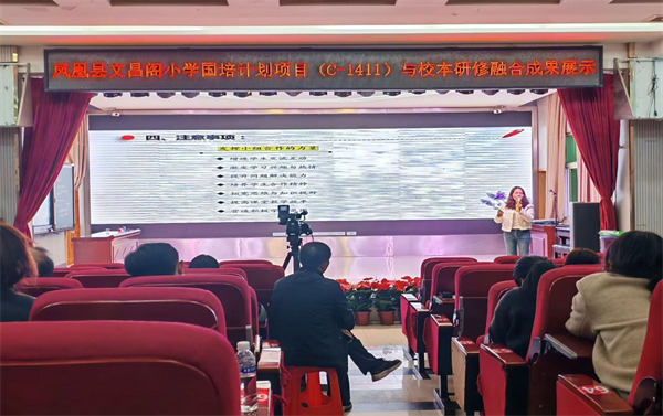 图片8.png
