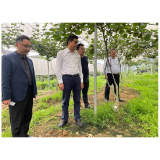 凤凰县科技工信局：“三区”人才下基层 产业振兴谱新篇