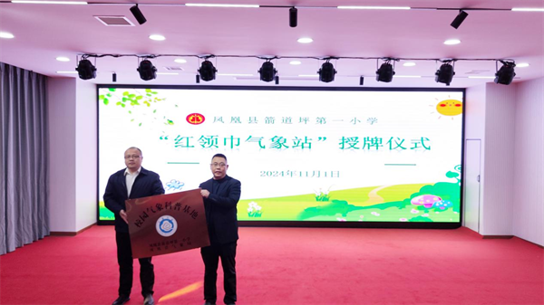 图片20.png