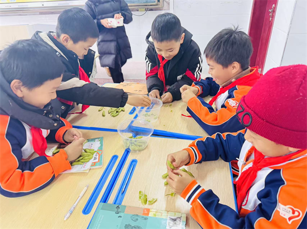 图片3.png
