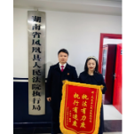 凤凰法院：无畏风雪执行路 真情致谢送锦旗