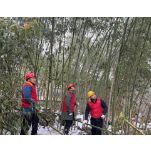 国网凤凰县供电公司：抗寒冰抵万难 电力人在保电第一线
