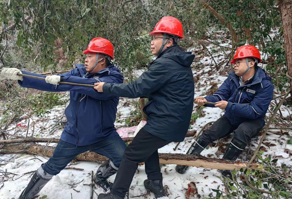 国网凤凰县供电公司：鏖战冰雪护光明