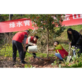 春风十里，“植”此新绿——凤凰县千名志愿者开展全民义务植树活动