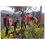 凤凰县委党校：开展植树节活动   助力绿色凤凰建设