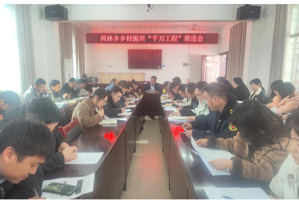 凤凰县两林乡：共谋乡村振兴，全力推进“千万工程”