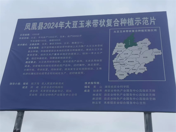 图片6.png