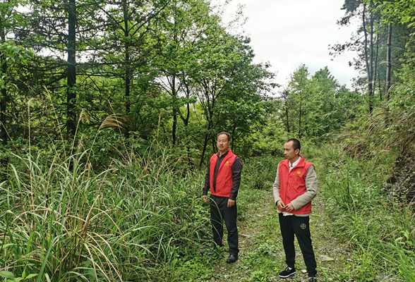 凤凰县廖家桥镇开展春季禁种铲毒、易制毒场所排查实地踏查及阳光信访工作f
