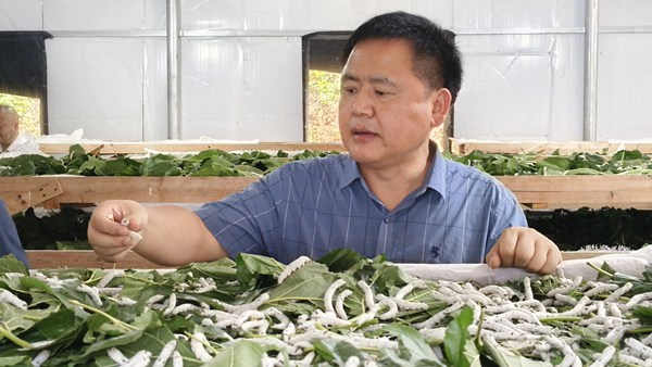 图片15.jpg