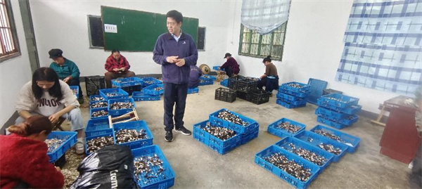 图片13.png
