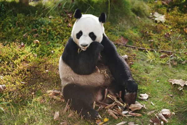 图片10.jpg