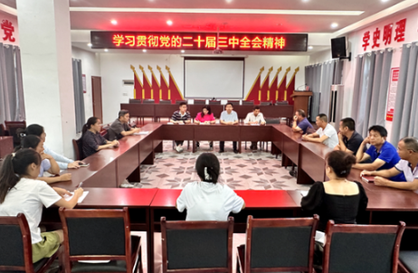 奋力谱写乡村振兴崭新篇章——菖蒲塘村干部群众热议党的二十届三中全会精神