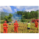 凤凰县林峰乡：防灭火应急演练，筑牢森林“防火墙”