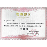 喜报！凤凰县箭道坪第一小学荣获2024年凤凰县第二届“新华杯”小学生阅读素养大赛学生组和教师组一等奖