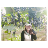 芬芳九月 教师礼赞丨韩曼琳：岁月芬芳 最美是你