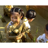凤凰县箭道坪幼儿园：稻花香里捉鱼忙  解锁金秋第一课