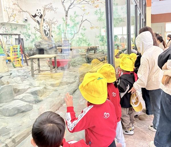 图片21.jpg 图片21.jpg
