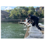凤凰:警民同心护沱江 增殖放流添生机