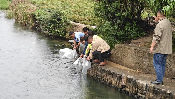 图片7.jpg 图片7.jpg