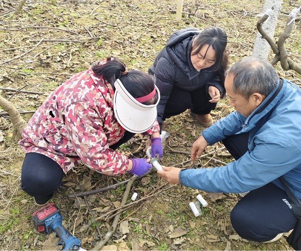 图片16.jpg 图片16.jpg