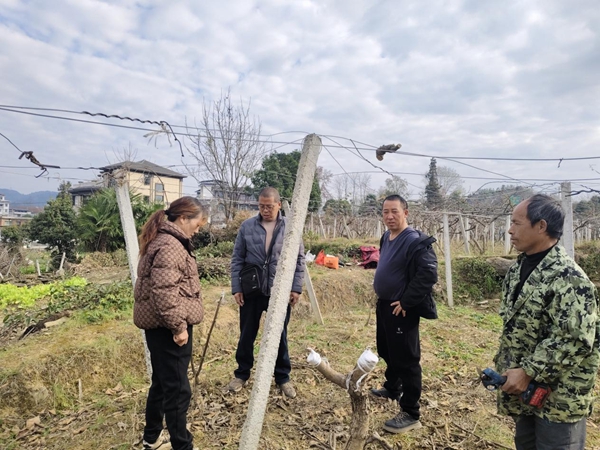 图片15.jpg 图片15.jpg